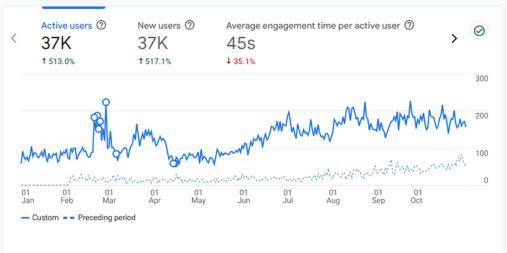 513% Increase in Website Organic Traffic in Just One Year